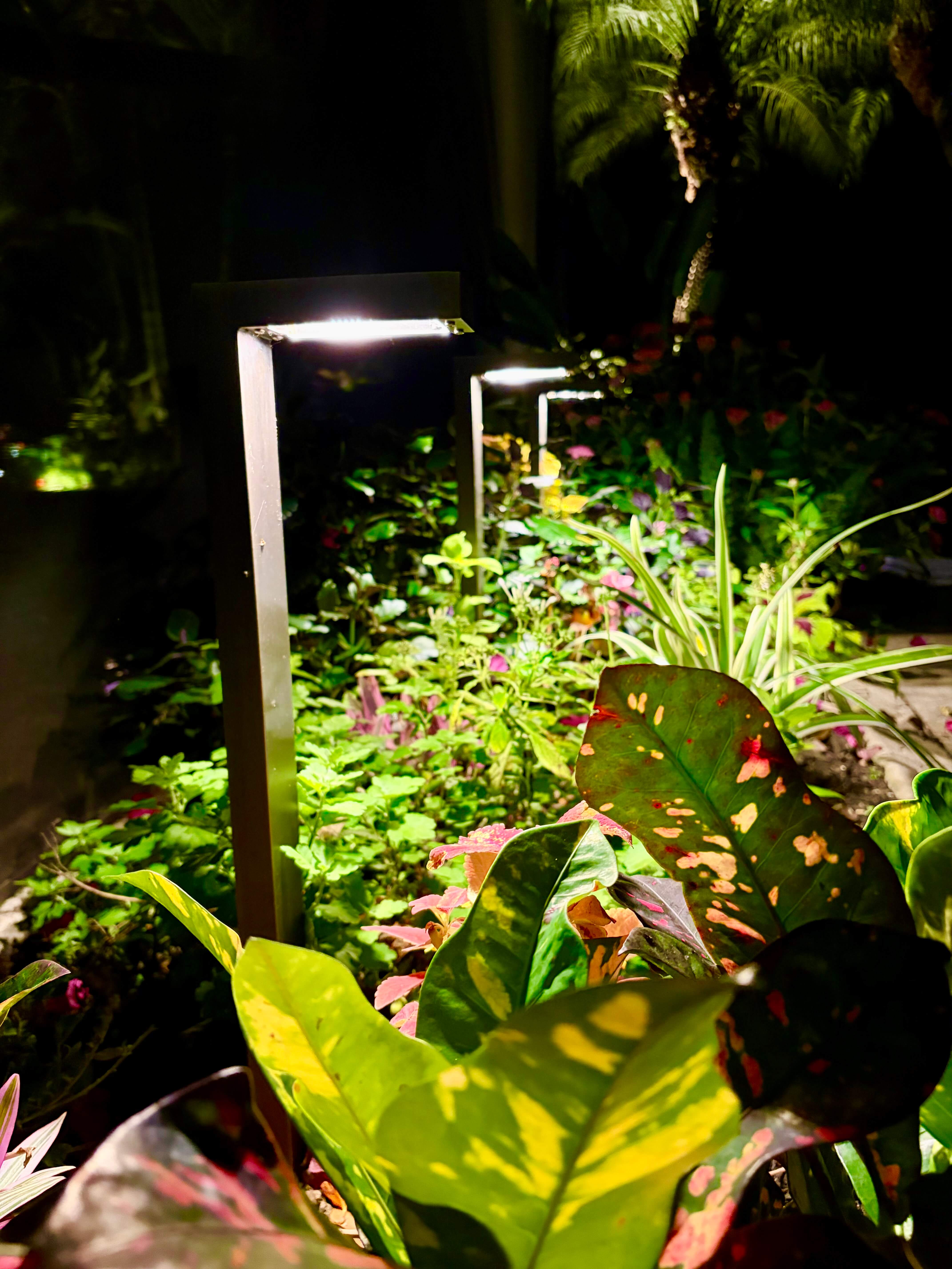 Landscape Lighting Installation in North Port, Venice & Surrounding ...